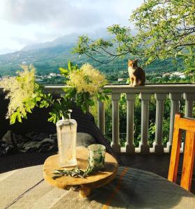 a cat sitting on a balcony with a table at A house with the view in Bar