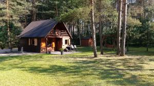 a small cabin in the middle of a yard with trees at Domek Pod Sosnami in Kuźnica Nowa