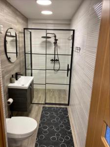 a bathroom with a shower and a toilet and a sink at Zacišių Sodyba in Karalgiris +35 photos
