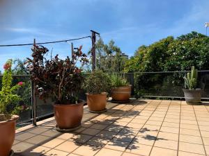 a group of potted plants sitting on a balcony at Harriet Place apartment in Darwin