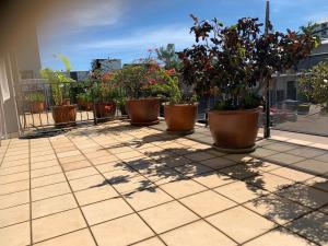 a row of potted plants sitting on a balcony at Harriet Place apartment in Darwin