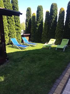 a group of lawn chairs sitting on the grass at Lake House in Svityazʼ