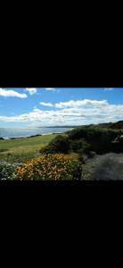 a view of a field with trees and flowers at The Bass Horizon - 5 bedrooms - 10 people - Bass Strait View in Devonport