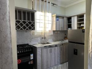 a kitchen with a refrigerator and a sink at El SALI APARTMENTS in Buwate