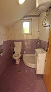 a bathroom with a toilet and a tub and a sink at Villa Nature in Hadžići +17 photos