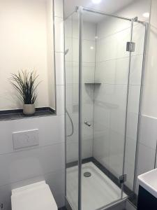 a glass shower stall in a bathroom with a toilet at Wolkenparadies in Altenau