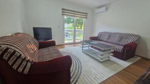a living room with two couches and a television at Villa Nature in Hadžići