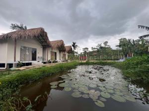 a pond in front of a house with lilies at Ananda Uthaan in Sreemangal