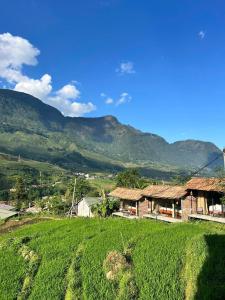 a house on a hill with mountains in the background at lúa Cafe Eco Lodge in Sapa