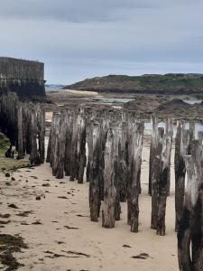 a group of wooden posts in the sand on a beach at Bien être la violette in Saint Malo