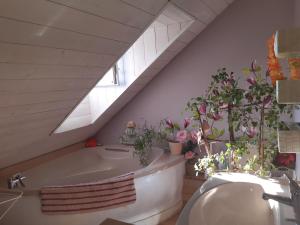 a bathroom with a sink and a tub with plants at Bien être la violette in Saint Malo
