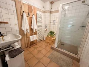 a bathroom with a shower and a sink at Domaine de Marmonfosse in Taintrux +19 photos
