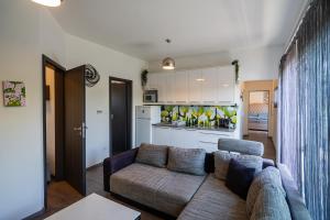 a living room with a couch and a kitchen at AH-Premium Rooftop Apartman in Zamárdi