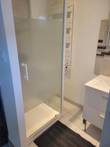 a glass shower door in a bathroom with a sink at Studio cosy Climatisation, terrasse privée, parking devant la maison in Nevers