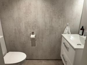 a bathroom with a toilet and a sink at Horgheim Boutique Lodge, Romsdalen in Åndalsnes