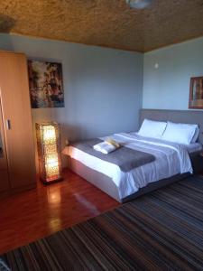 a bedroom with a large bed and a lamp at Sonja Sea View House in Zagrađe
