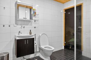 a bathroom with a toilet and a sink at Cozy two-room apartment with sauna in Sodankylä +12 photos