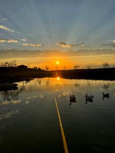 a group of ducks in the water at sunset at Chateau Vartsikhe in Varts'ikhe