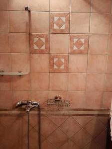 a shower with a faucet in a bathroom at Δάσος ΜΕ ΠΛΑΤΑΝΙΑ in Agios Dimitrios +17 photos