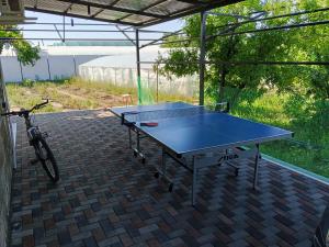a ping pong table on a brick patio with a bike at Atom Haus in Tsakhkashen