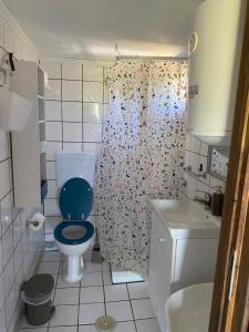 a bathroom with a blue toilet and a shower curtain at Real Holidays Antoniadou - Rustic House in Elaiokhórion