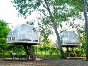 two domed buildings with tables and chairs in a park at Under the Stars Domes in Shkodër