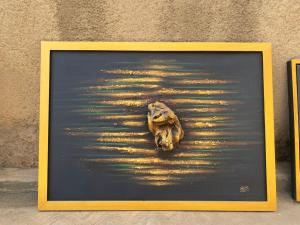 a picture of a dead animal in the water at INTAGARA Handcrafts in Butare