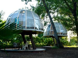two dome shaped structures sitting next to a tree at Under the Stars Domes in Shkodër