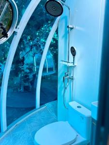 a bathroom with a shower with a toilet at Under the Stars Domes in Shkodër