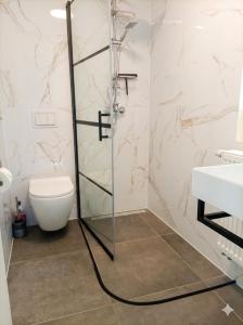 a bathroom with a shower and a toilet at The Red House in Celle