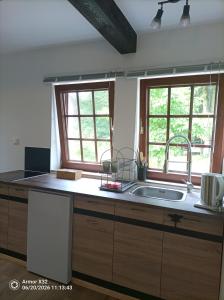 a kitchen with a sink and two windows at The Red House in Celle