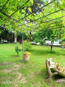 a park with a tree and a bench in the grass at The Red House in Celle