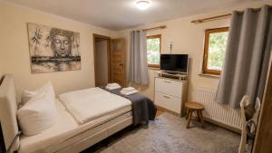 a small bedroom with a bed and a television at Pension Nippgen in Radebeul
