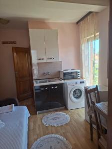 a kitchen with a washing machine and a washer at Apartmani Lazić No 4 in Gracanica