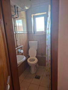 a bathroom with a toilet and a sink and a window at Apartmani Lazić No 4 in Gracanica