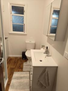 a bathroom with a sink and a toilet and a mirror at Larsen Apartment in Palmerston North +16 photos