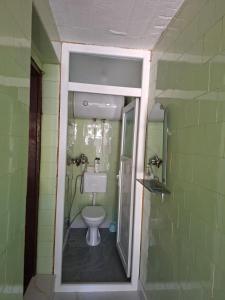 a bathroom with a toilet in a green wall at Roof - Holiday Home in Gjakove