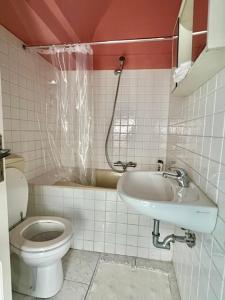 a bathroom with a toilet and a sink at Historic Center Cottage Style Apartment in Pontremoli +11 photos