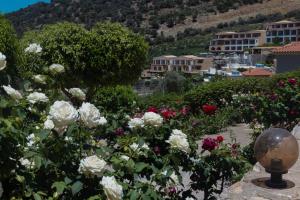 a garden with white and red flowers and buildings at Villa Sol in Bali in Bali +14 photos