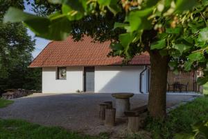 a white house with a tree and a bench at Hiša pri Lipi in Pristava pri Mestinju
