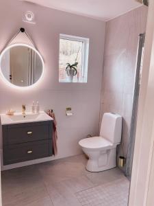 a bathroom with a toilet and a sink and a mirror at Reinholds Gästhus in Kareby +24 photos