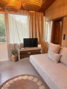 a living room with a bed and a television at Olive Grove Retreat Paxos in Vlachopoulátika