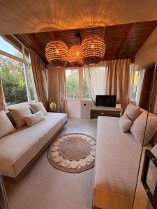 a large living room with two couches and a tv at Olive Grove Retreat Paxos in Vlachopoulátika