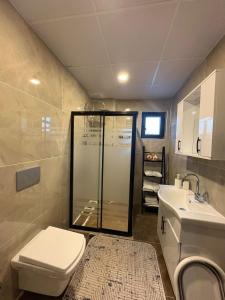 a bathroom with a shower and a toilet and a sink at Duruer Living Home in Ürgüp +23 photos
