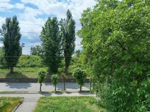 a group of trees on the side of a road at Квартира над Парусом in Zhmerynka
