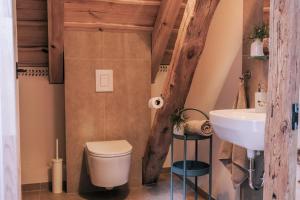 a bathroom with a toilet and a sink at Tajna Bazia in Nidzica
