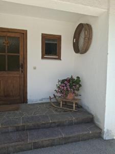 a potted plant sitting on a bench next to a door at Bio Berghof Langerlehen in Berchtesgaden +2 photos