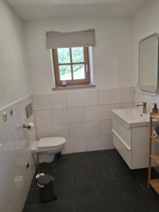 a bathroom with a toilet and a sink and a window at Bio Berghof Langerlehen in Berchtesgaden