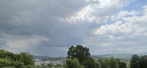 a group of trees and buildings under a cloudy sky at View Apartments Gorlice in Gorlice