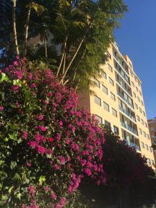 a large building with pink flowers in front of it at Apartamento La Tramuntana in Benidorm